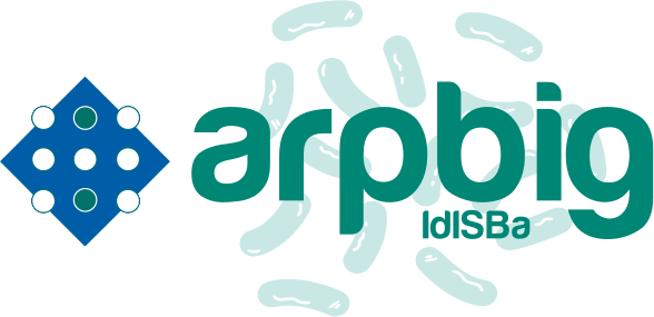 Logo verde y colores IdIsBa