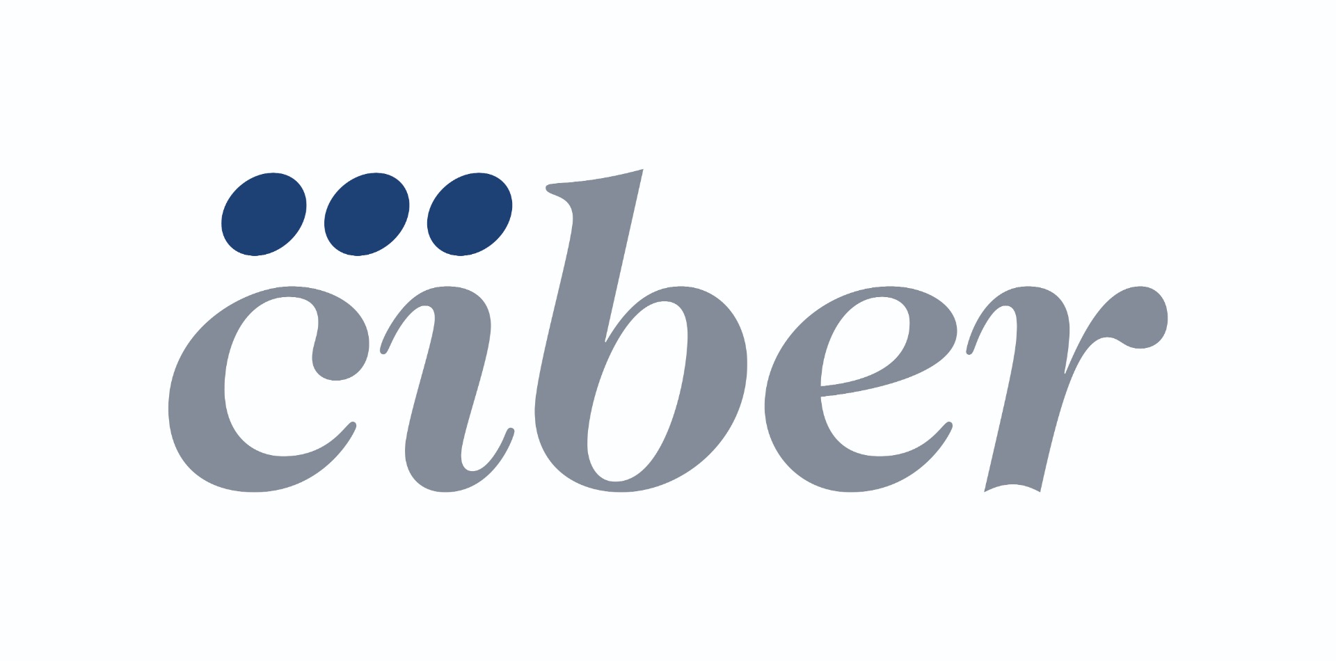 logo-ciber-positivo logo-ciber-positivo